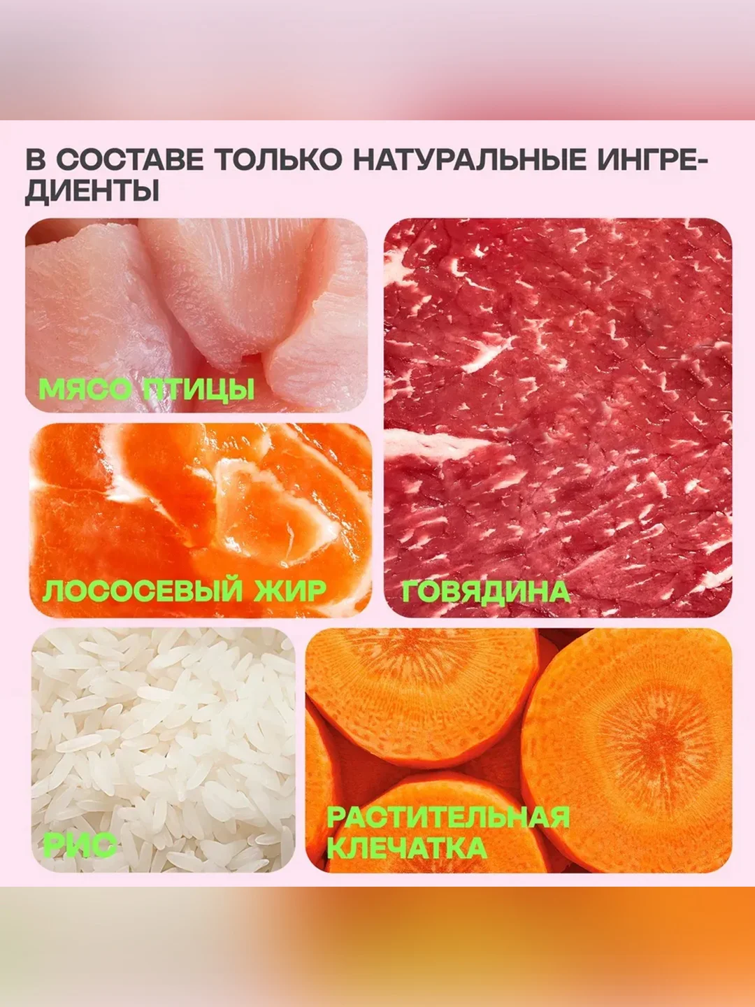 Полнорационный сухой корм Zoogurman Big Cats, 10 кг