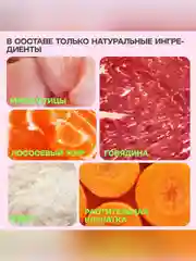 Полнорационный сухой корм Zoogurman Big Cats, 10 кг