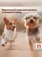 Сухой корм для собак малых и средних пород Зоогурман Sensitive, Ягненок с рисом, 1,2 кг