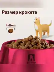 Полнорационный сухой корм для кошек Зоогурман Home Life, Курочка, 1,5 кг