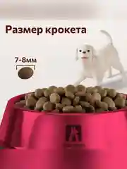 Полнорационный сухой корм для собак малых и средних пород Зоогурман, Индейка, 10 кг