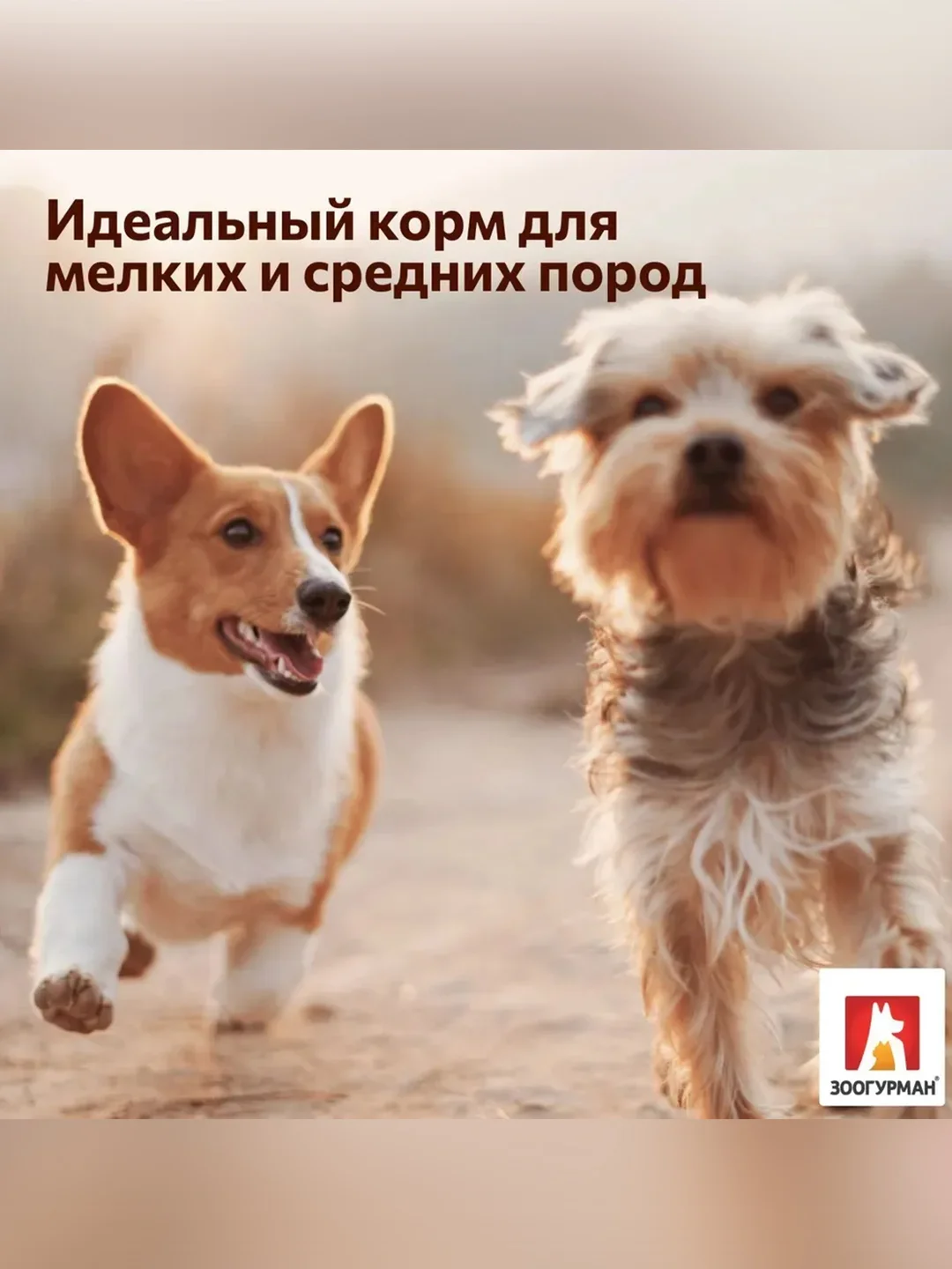 Полнорационный сухой корм для собак малых и средних пород Зоогурман, Индейка, 10 кг