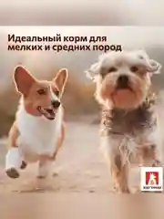 Полнорационный сухой корм для собак малых и средних пород Зоогурман, Индейка, 10 кг
