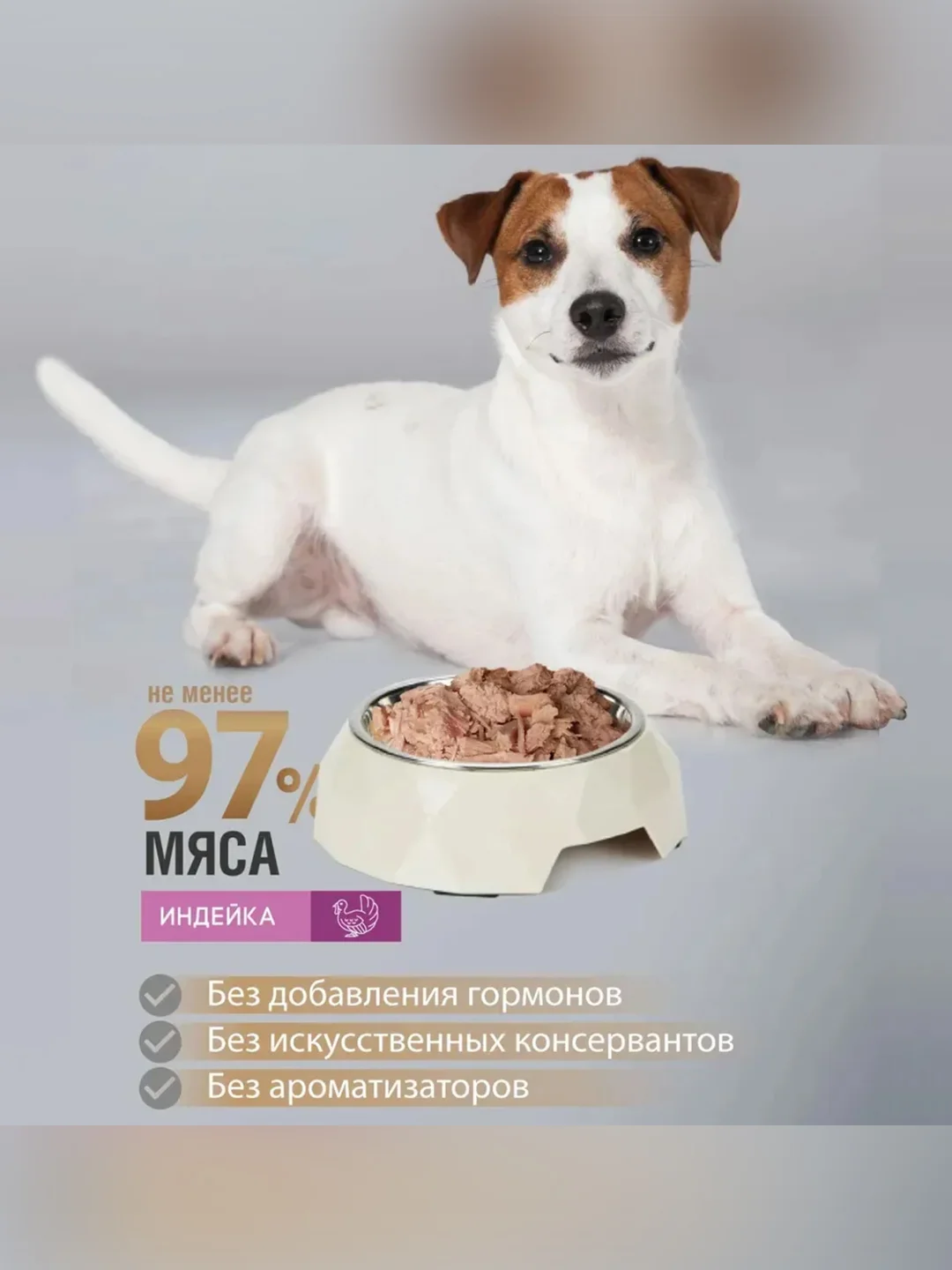 Влажный корм для собак Зоогурман GRAIN FREE, Индейка, 350 г