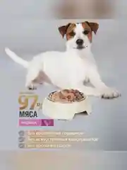 Влажный корм для собак Зоогурман GRAIN FREE, Индейка, 350 г