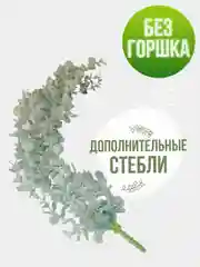 Салатовый искусственное растение эвкалипт в горшке вьющееся декоративное лиана