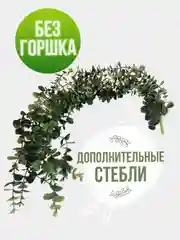 Лесной зеленый искусственное растение эвкалипт в горшке вьющееся декоративное лиана