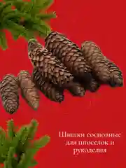 Шишки еловые 10 шт, натуральные для декора и новогоднего украшения поделок