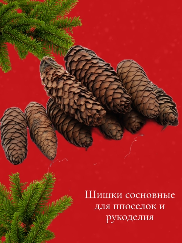 Шишки еловые 10 шт, натуральные для декора и новогоднего украшения поделок