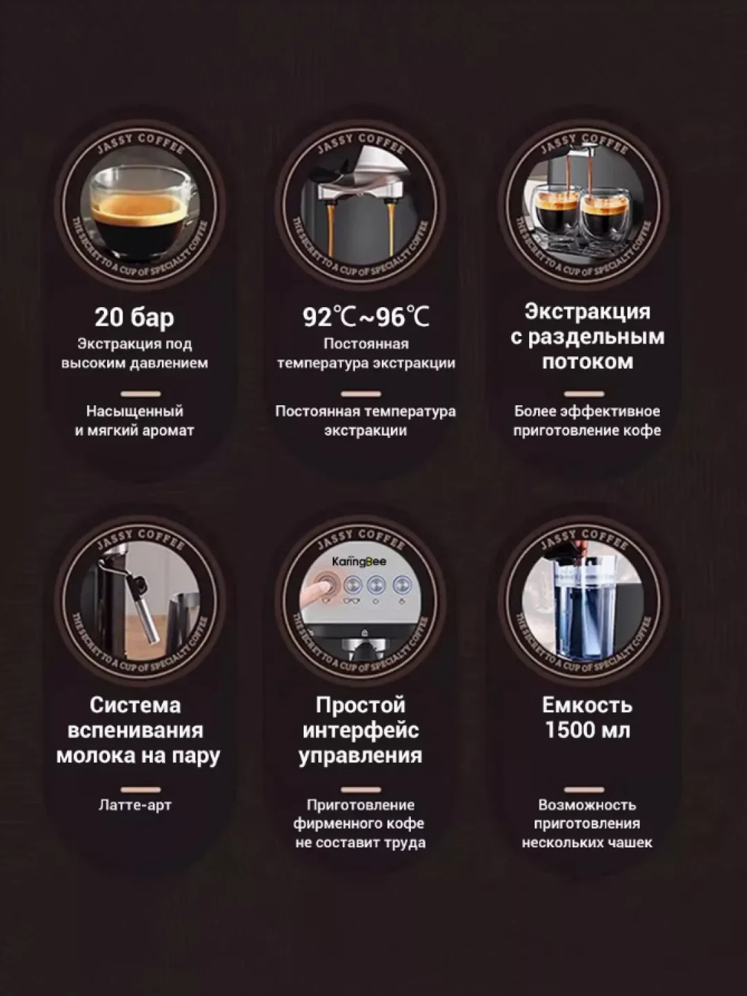 Рожковая кофемашина KaringBee CM3000