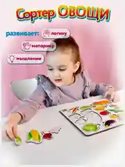Деревянный сортер рамка монтессори для малышей