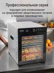 Черный профессиональная электросушилка с горизонтальным обдувом CHEF PRO CF-FD805A 12 поддонов