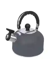 Серый чайник со свистком HOME ELEMENT HE-WK1602, 2л, нерж. сталь, темно-серый матовый