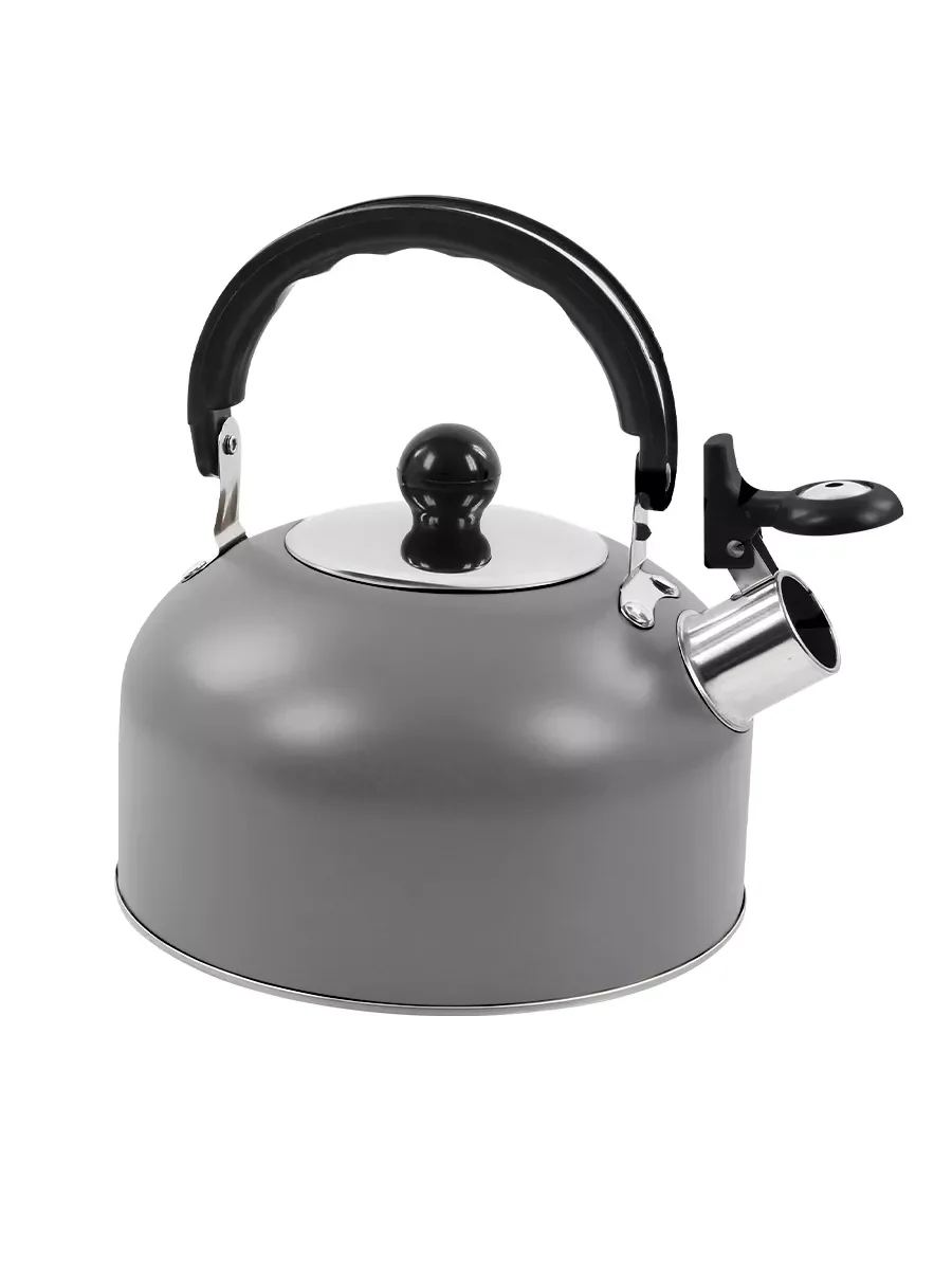 Серый чайник со свистком HOME ELEMENT HE-WK1602, 2л, нерж. сталь, темно-серый матовый