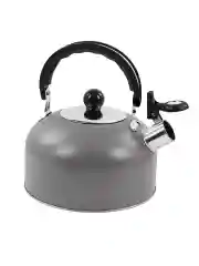 Серый чайник со свистком HOME ELEMENT HE-WK1602, 2л, нерж. сталь, темно-серый матовый
