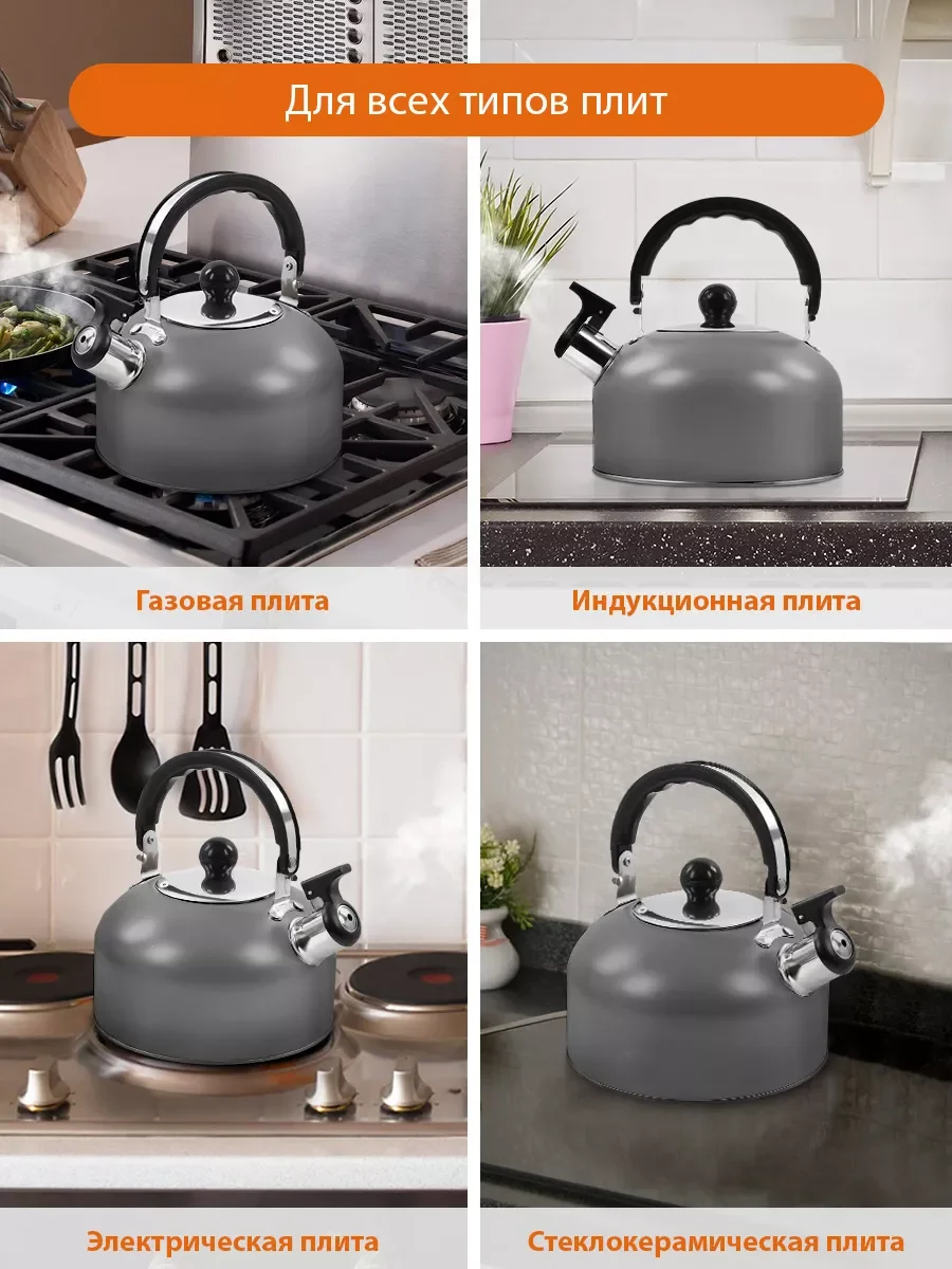 Серый чайник со свистком HOME ELEMENT HE-WK1602, 2л, нерж. сталь, темно-серый матовый