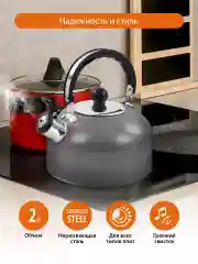Серый чайник со свистком HOME ELEMENT HE-WK1602, 2л, нерж. сталь, темно-серый матовый