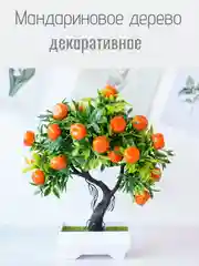 Мандариновое дерево