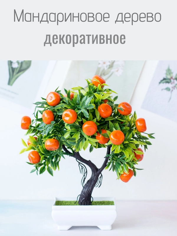 Мандариновое дерево
