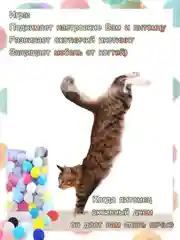 Игрушка для кошек дразнилка-пистолет