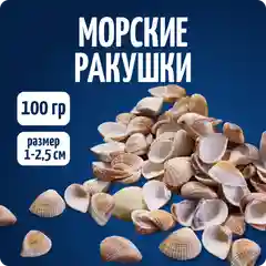 Ракушки декоративные 1-2,5 см, 100 гр. COLOR Si
