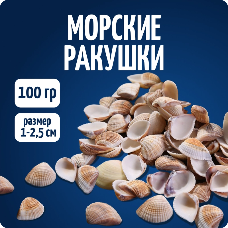 Ракушки декоративные 1-2,5 см, 100 гр. COLOR Si