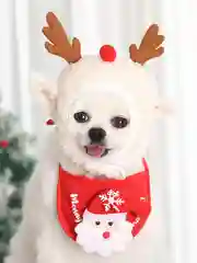 Белый новогодний костюм для кошек и собак, новогодняя одежда, 2 цвета