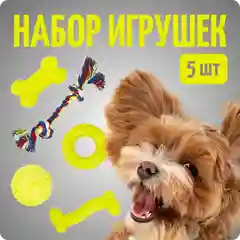 Игрушка для собак, набор 5 шт, кость, мячик, кольцо, Color Si