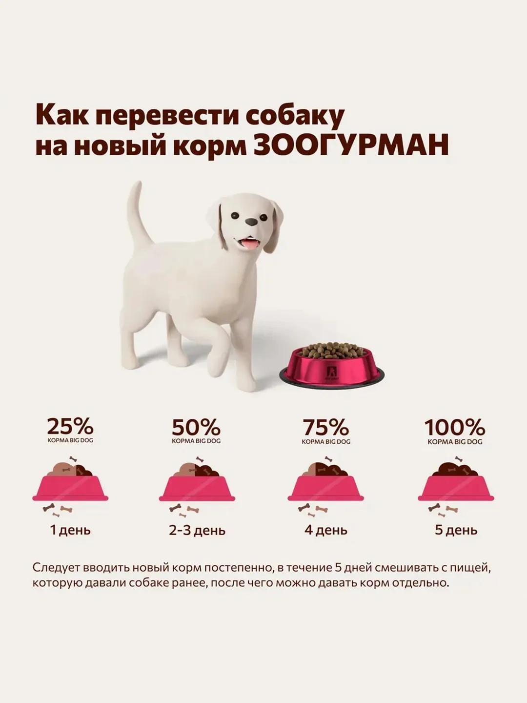 Полнорационный сухой корм Jolly Dog Лосось и рис, для взрослых собак, 13 кг