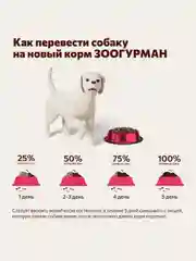 Полнорационный сухой корм Jolly Dog Лосось и рис, для взрослых собак, 13 кг