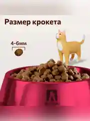 Полнорационный сухой корм Zoogurman Hair & Beauty, Птица, для кошек, 10 кг