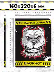Черный блокнот анкета для мальчиков 40 листов 16х22 см "Блокнот пацана". Проф-Пресс