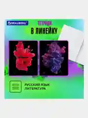 Предметные тетради 48 л набор A5 в клетку и линейку 12 штук, Brauberg Pigment