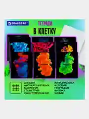 Предметные тетради 48 л набор A5 в клетку и линейку 12 штук, Brauberg Pigment
