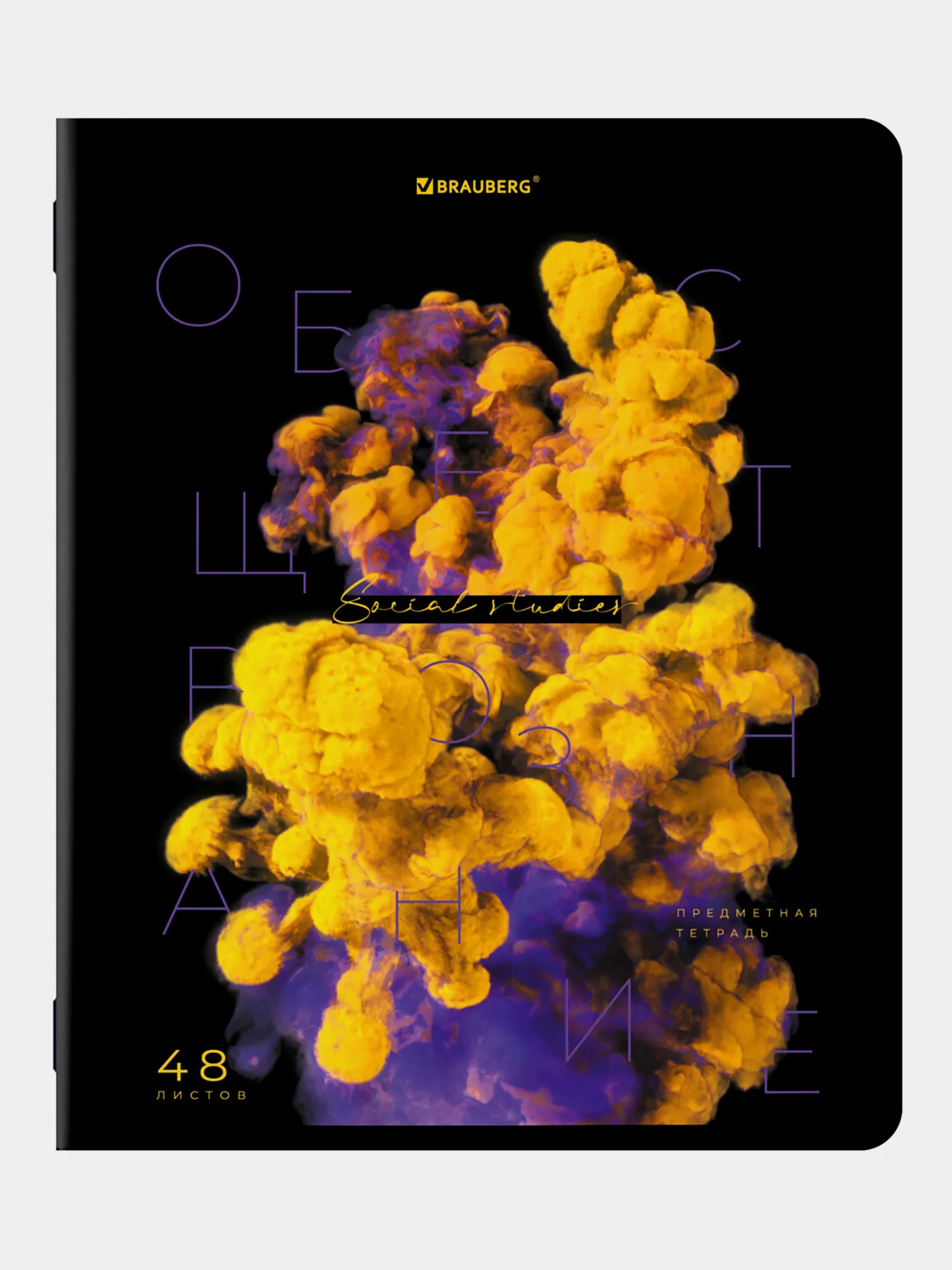 Предметные тетради 48 л набор A5 в клетку и линейку 12 штук, Brauberg Pigment