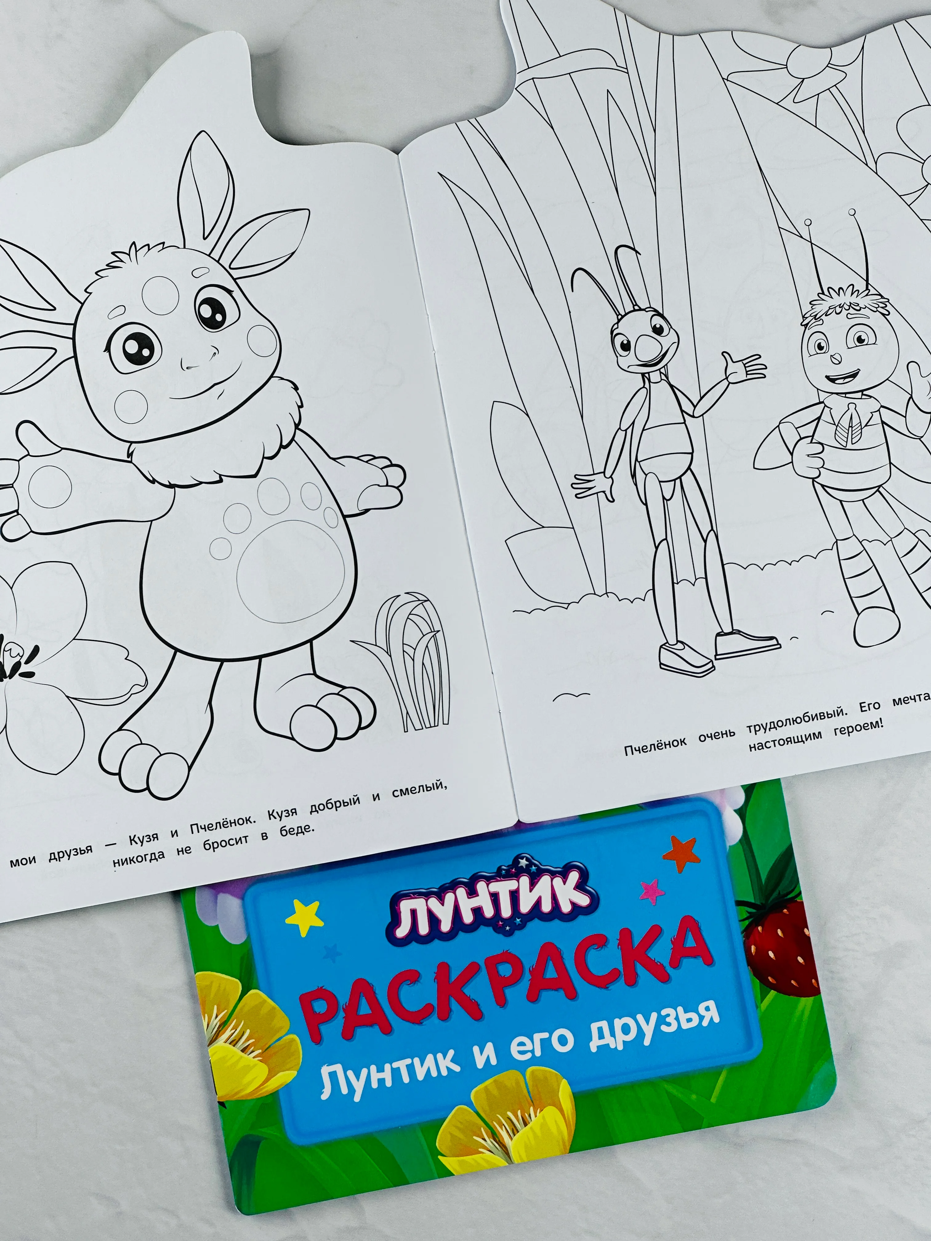 Детская развивающая книжка для малышей Лунтик друзья Раскраска герои из мультика Кузя Мила