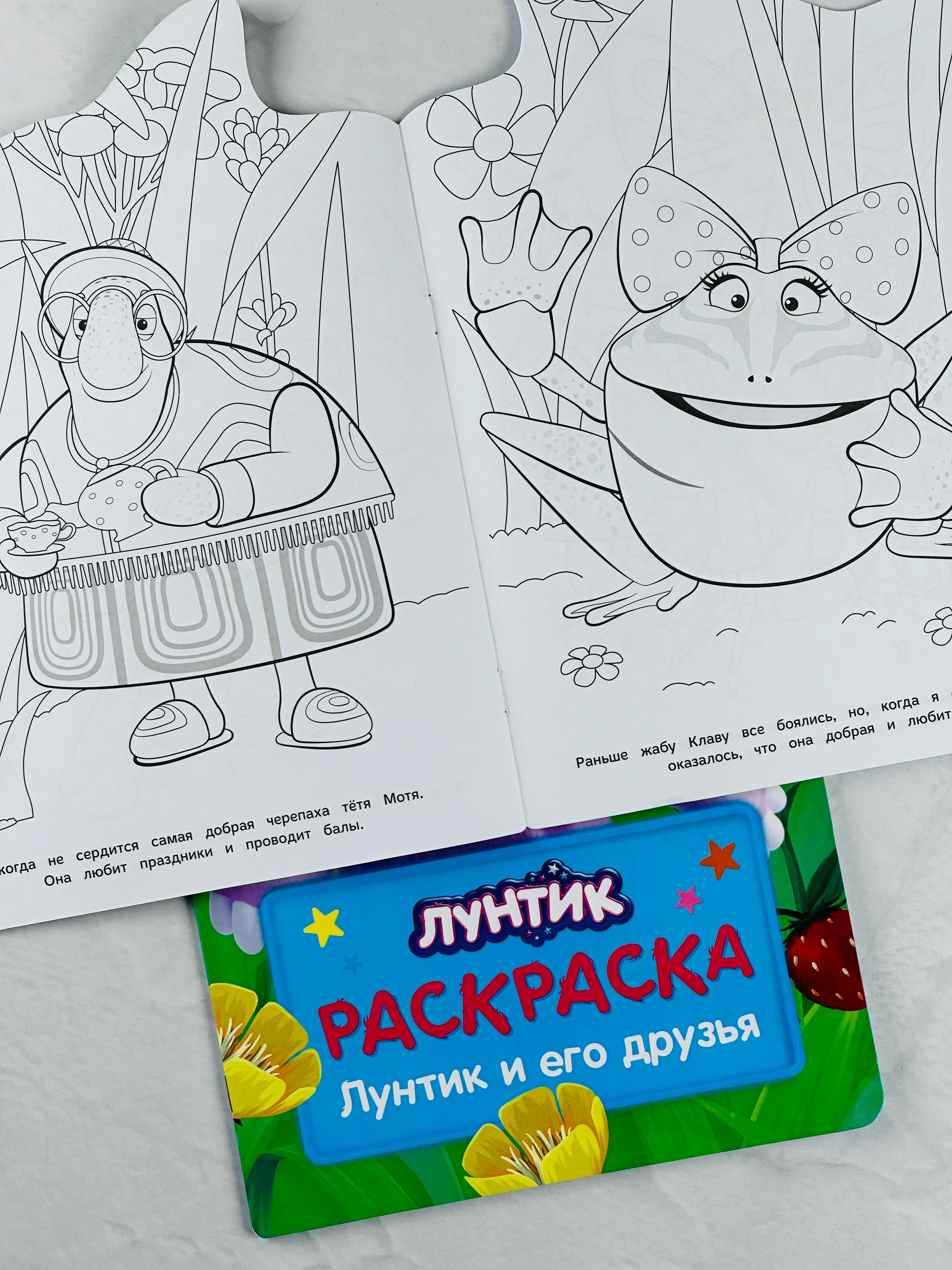 Детская развивающая книжка для малышей Лунтик друзья Раскраска герои из мультика Кузя Мила