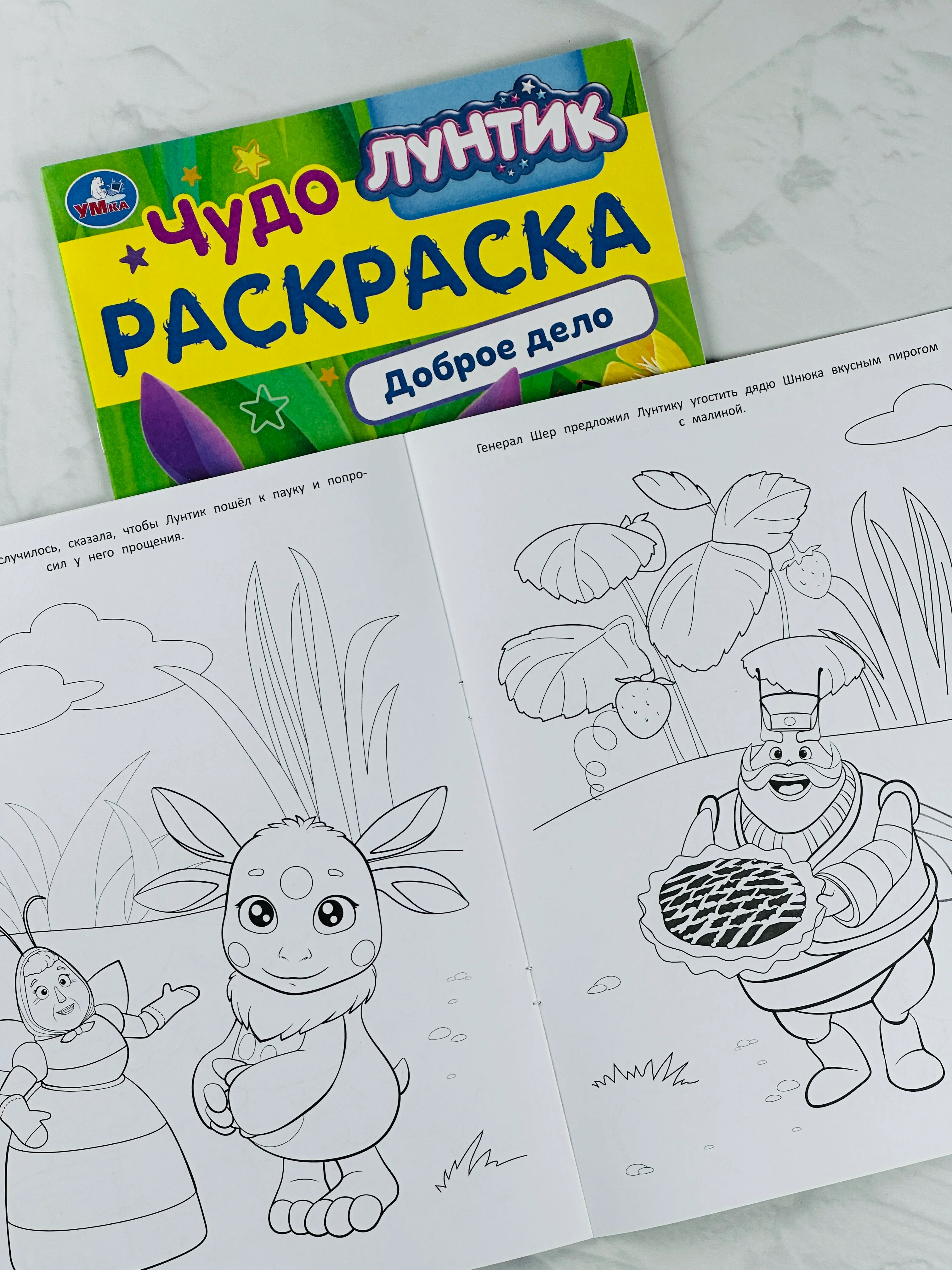 Детская книжка для раскрашивания Лунтик Доброе дело Чудо-раскраска разукраска для малышей