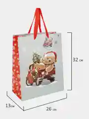 Пакеты новогодние подарочные мужчине, женщине, набор 4 штуки 26x32x13 см Золотая Сказка