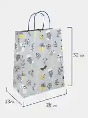Пакеты новогодние подарочные мужчине, женщине, набор 4 штуки 26x32x13 см Золотая Сказка