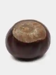 Каштаны для поделок