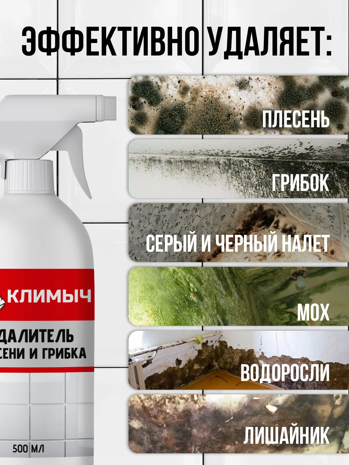 Профессиональное средство от плесени и грибка на стенах и в ванной комнате