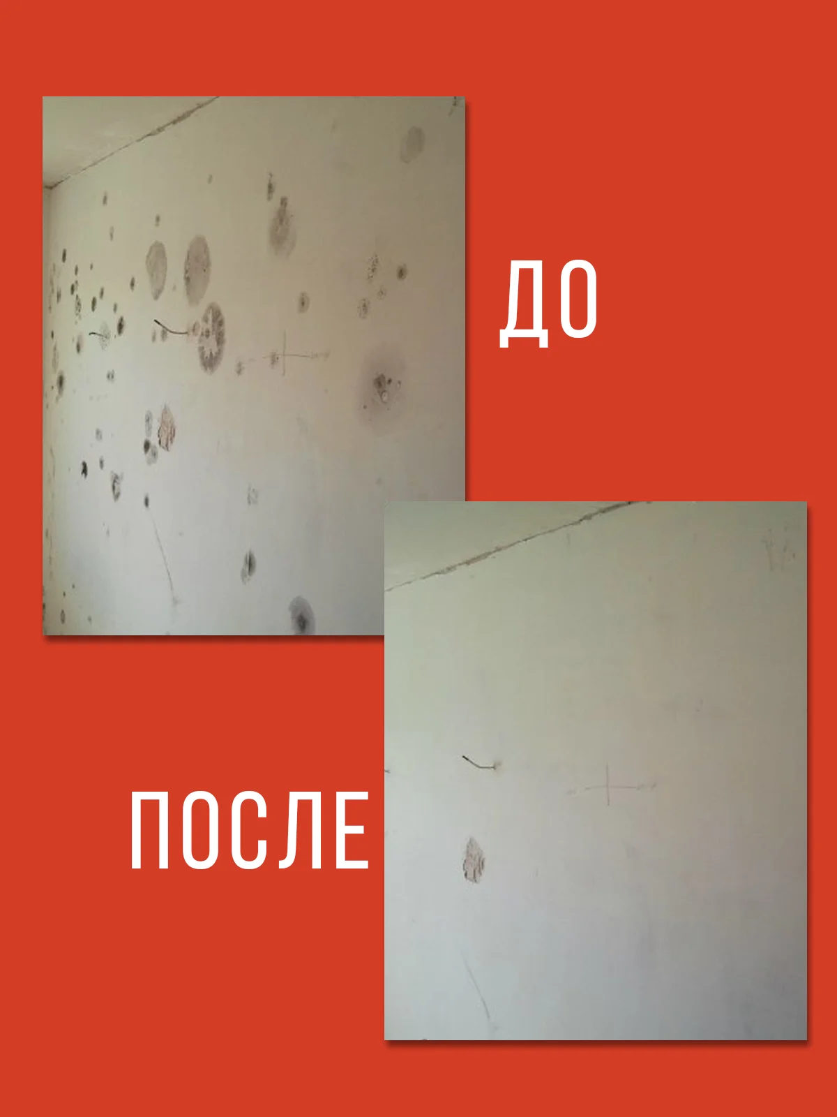 Профессиональное средство от плесени и грибка на стенах и в ванной комнате