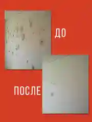 Профессиональное средство от плесени и грибка на стенах и в ванной комнате