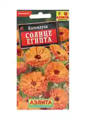 Семена Календула махровая Солнце Египта, 0,5 г