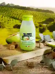 Cottage Гель-гоммаж для душа ЯБЛОКО Exfoliating Shower Gel –  SUGAR& CRUNCHY APPLE, 270 мл