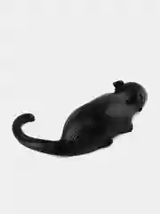 Черный игрушки антистресс сквиш лапка Кошачья/таба лапа большая, котик/капибара/куроми/орео/хомяк