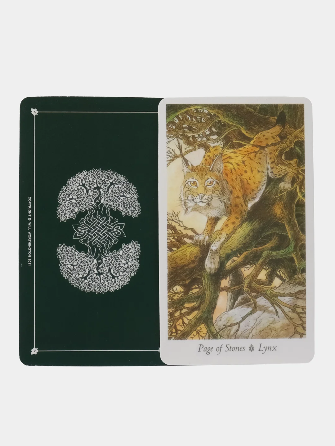 Таро Дикого Леса The Wildwood Tarot, гадальные карты