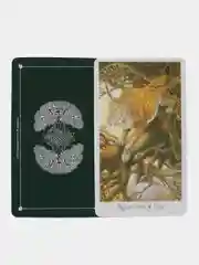 Таро Дикого Леса The Wildwood Tarot, гадальные карты