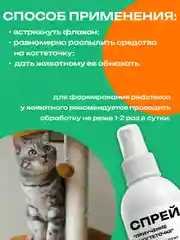 Спрей "Приучение к когтеточке" для кошек и котят, 200 мл